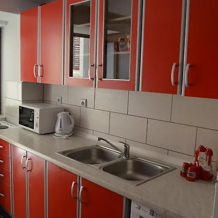 公寓 Zeljko 巴斯卡